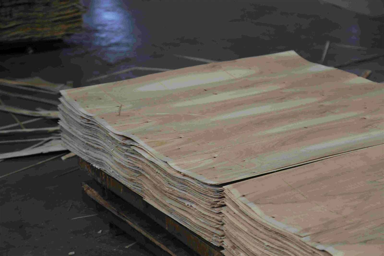 product-4925-3283 product-4925-3283