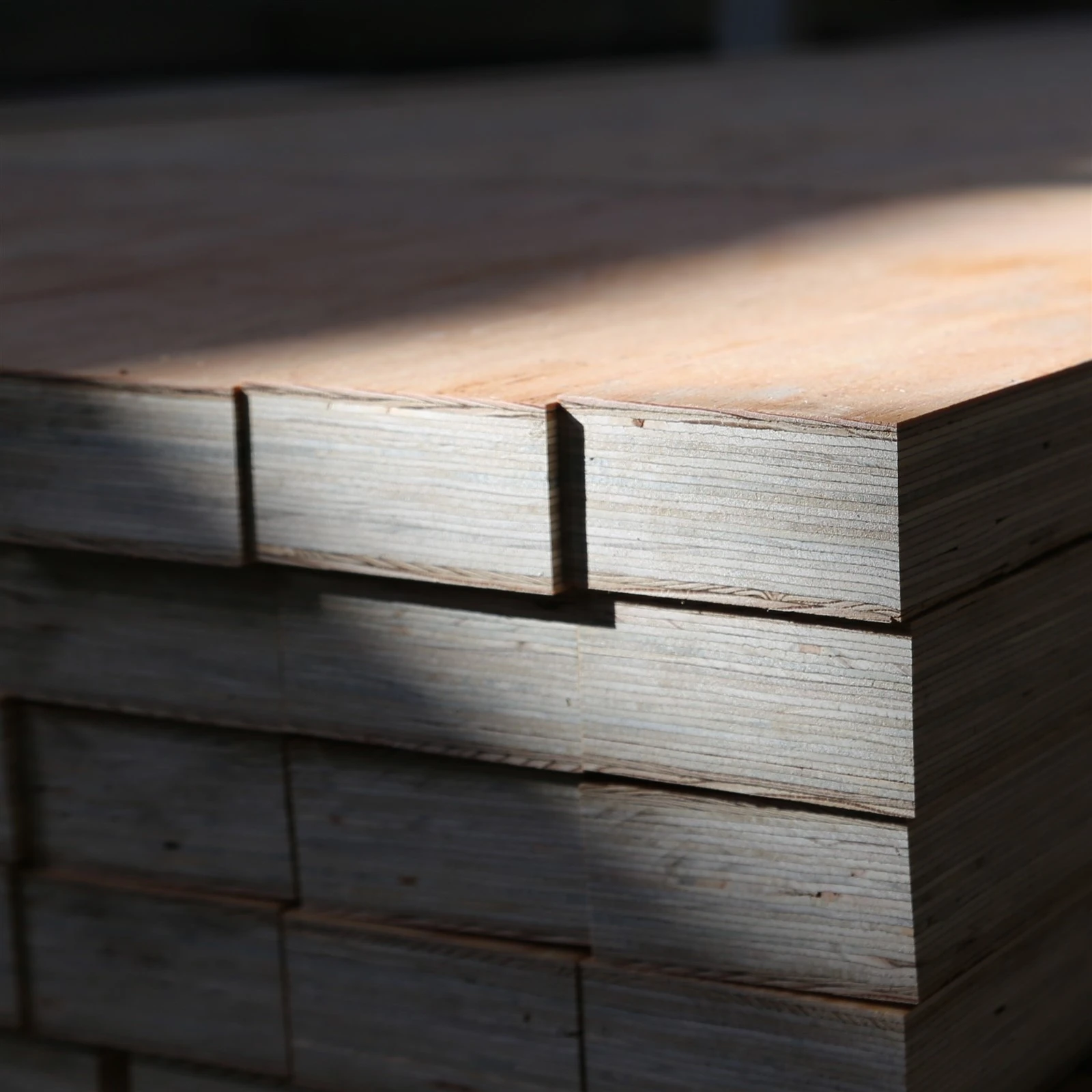 product-2514-2514 product-2514-2514